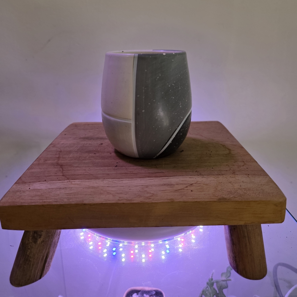 Gray, White, And Black Ceramic Planter